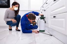 Best Commercial Pest Control  in Champlin, MN